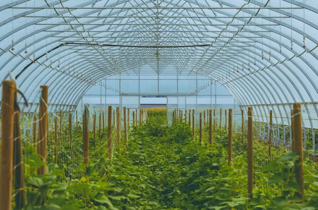 广西企业用工风险防范：劳务派遣与人事外包合规操作要点